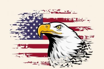 American eagle against USA flag background