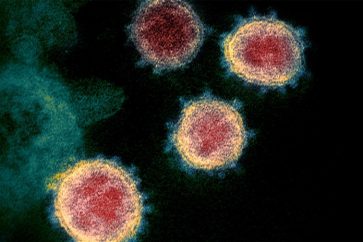 Coronavirus (image d'illustration)