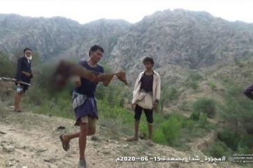 Massacre saoudien à Chada (nord du Yémen)