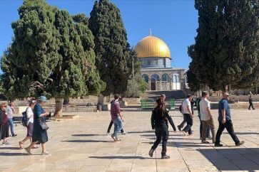 Les colons mènent des incursions régulières dans l’esplanade de la mosquée d'Al-Aqsa