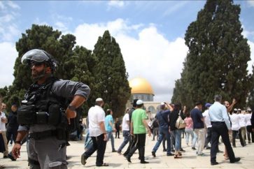 78 colons ont fait incursion dans la mosquée d'Al-Aqsa