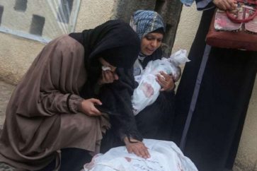 28 985, dont une majorité de femmes et d'enfants, sont tombés en martyre depuis le début de l'agression israélienne contre la bande de Gaza, le 7 octobre dernier.