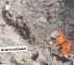 Une photo pathétique qui illustre les moyens utilisés pour évacuer les martyrs et les blessés dans les raids israéliens meurtriers.